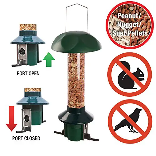 Roamwild PestOff Squirrel Proof Bird Feeder Peanut / Suet Pellet / Wild Bird Nuggets Version