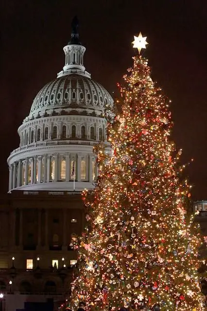 Not a fake tree, but the Christmas tree in Washington DC is just stunning!
