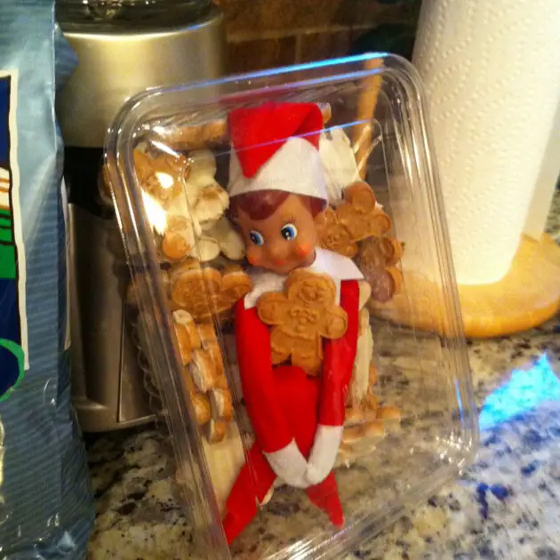 Funny ideas for Elf on the Shelf each night this Christmas.