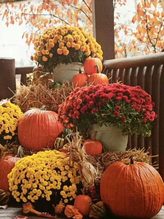 Fall Outdoor Decorating Ideas : 5 Tips for Fall Porch Decorating | HGTV ...