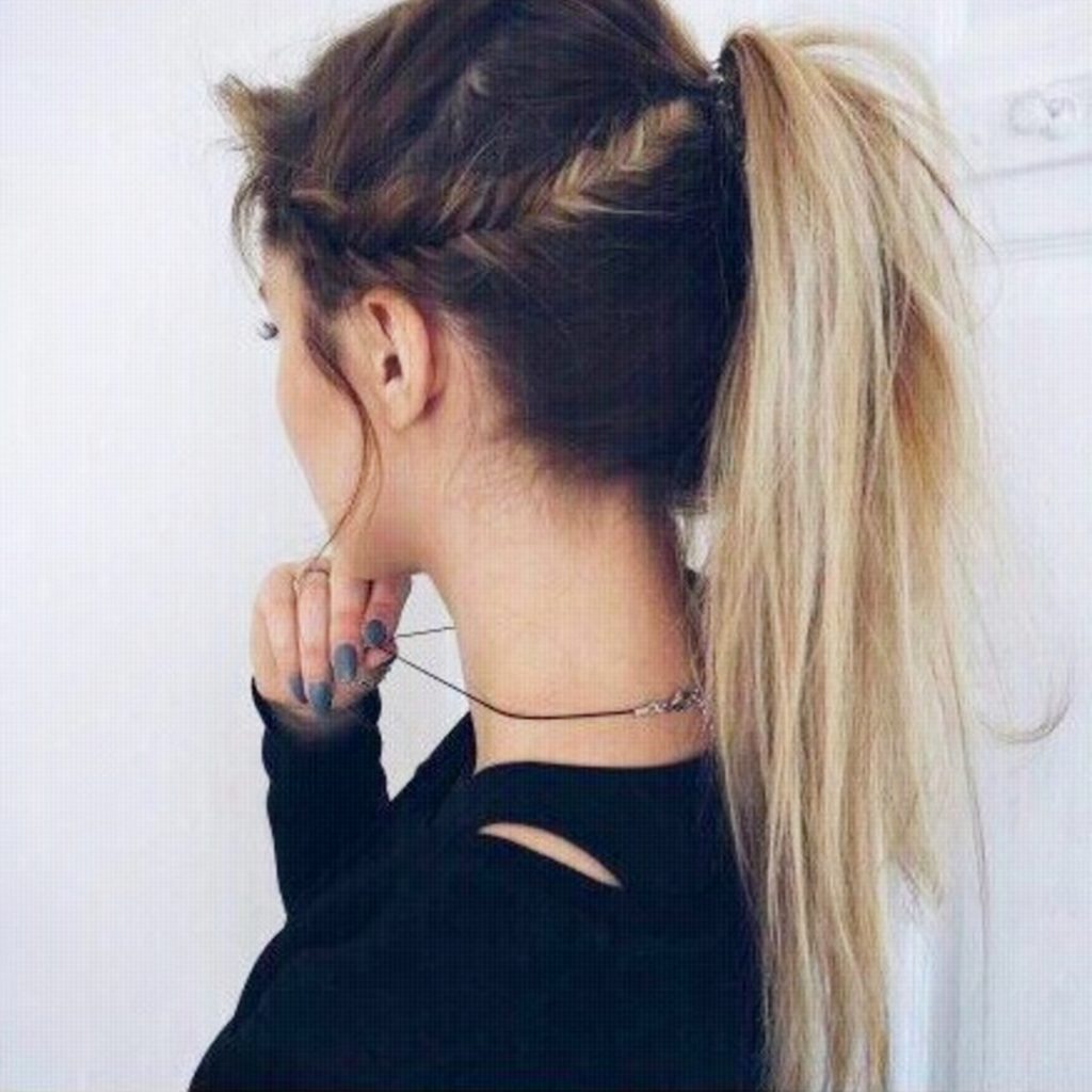 High ponytails hairstyles with braids