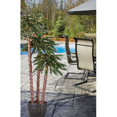 Gerson Everlasting Glow 5205-456C Electric Potted Palm Trees with 500 Warm White LED Lights, Brown Pot, 6