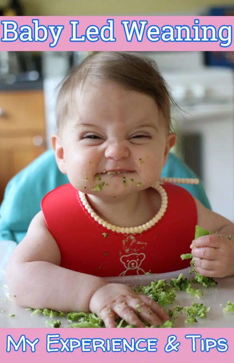 Baby Led Weaning My Experience, Tips, First Foods and What Works