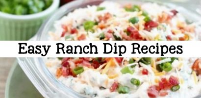 9 Easy Ranch Dip Recipes – Cold Homemade Ranch Veggie Dip Recipe Ideas