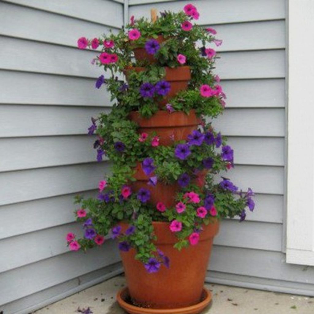 Ideas for clay pots -  front porch idea with clay flower pots