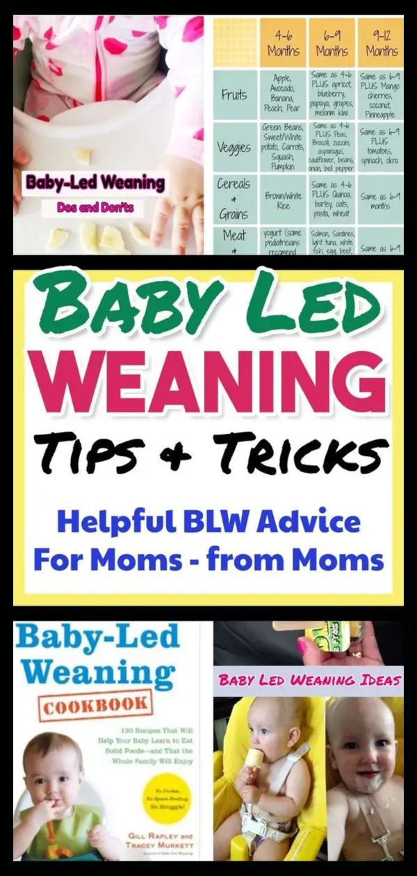 Baby led weaning - Baby Food Schedule for starting baby on solids & baby led weaning. Baby feeding schedule, baby feeding chart, introducing baby food and more BLW - baby led weaning info