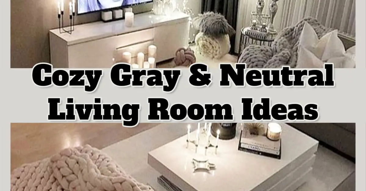 cozy gray living room ideas - grey neutral living room ideas