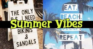 Summertime! Summer Vibes clothing, quotes, memes and Instagram captions we love for the summer months. They may not be summer facts but these are summer vibes we LOVE