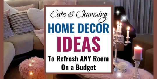 Charming Home Decor Ideas To Refresh Any Room on a Budget