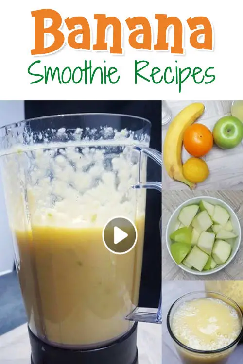 Ninja Fruit Smoothie Recipes Dandk Organizer