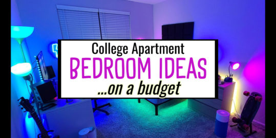 College Apartment Bedroom Ideas On a Budget
