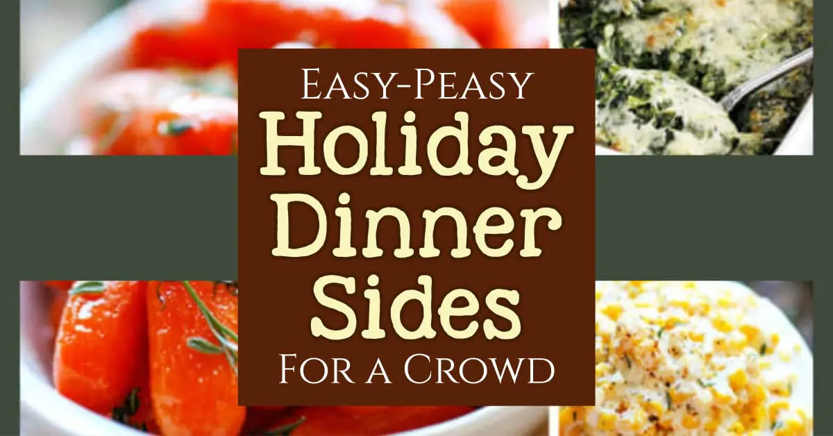 Side Dish Recipes - Easy Thanksgiving Side Dish Ideas for a Crowd (Christmas and Holiday dinner side dishes too)