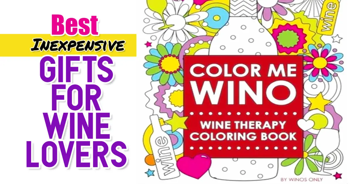 Gifts for Wine Lovers! Best inexpensive gifts for wine drinkers and people whoe love wine (for all budgets)