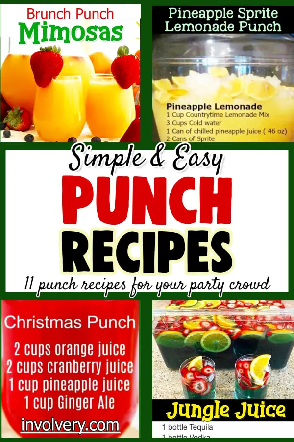 Inexpensive Punch Recipes - Punch To Make For a Party, Potluck, Summer BBQ Cookout, Church Picnic Or Work Holiday Party - 11 Simple Easy Punch Recipes For a Crowd