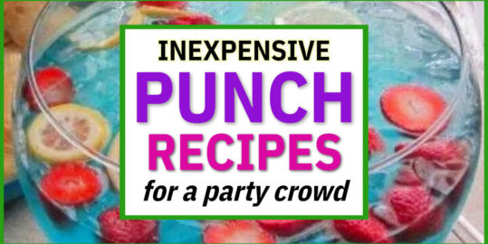 Inexpensive Punch Recipes-11 Simple Party Drink Ideas For a Crowd