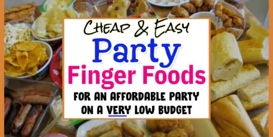 Best Appetizers and Finger Foods To Bring To A Block Party