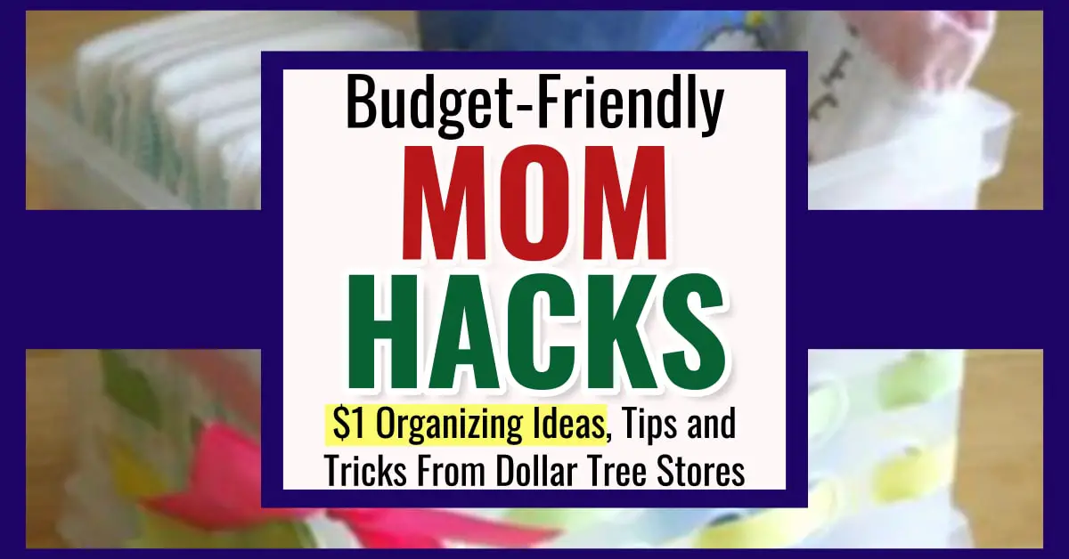 Dollar Store Organization Ideas - cheap organization ideas and DIY organizing HACKS with Dollar Tree items