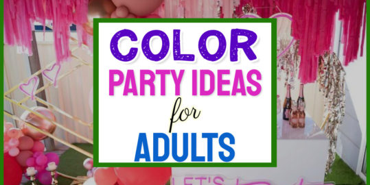 Color Party Ideas For GROWN UPS-TikTok Trends For Adults