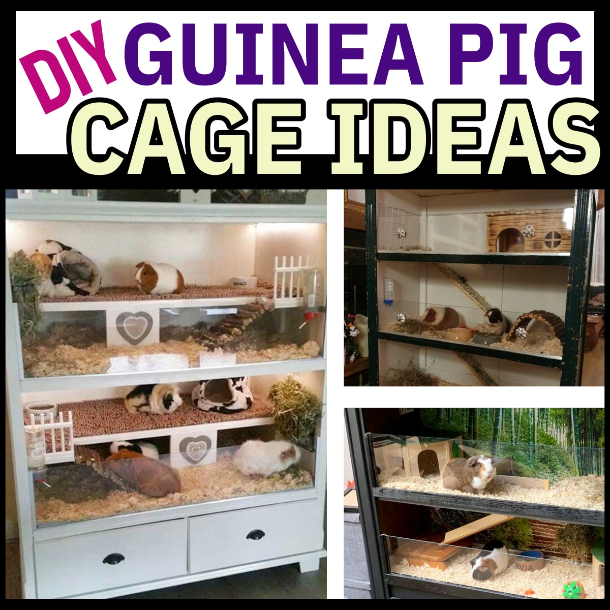 DIY Guinea Pig Cage Ideas and Hutch Set Ups Using Furniture like an old dresser